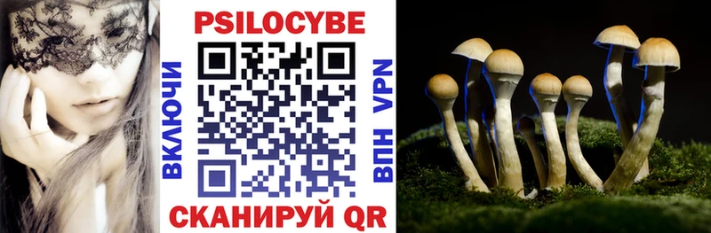 Галлюциногенные грибы Psilocybine cubensis  Купить где  Тырныауз 